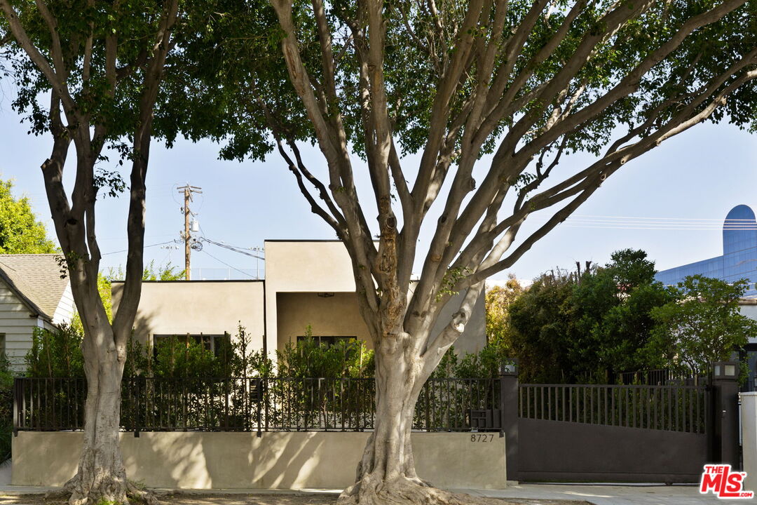 a view of a tree in front of a house