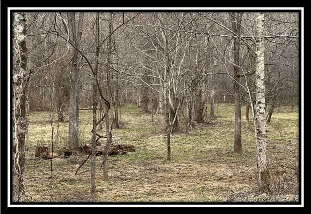 35471 Buck Run Road Langsville, OH 45741 - Photo 8 of 32