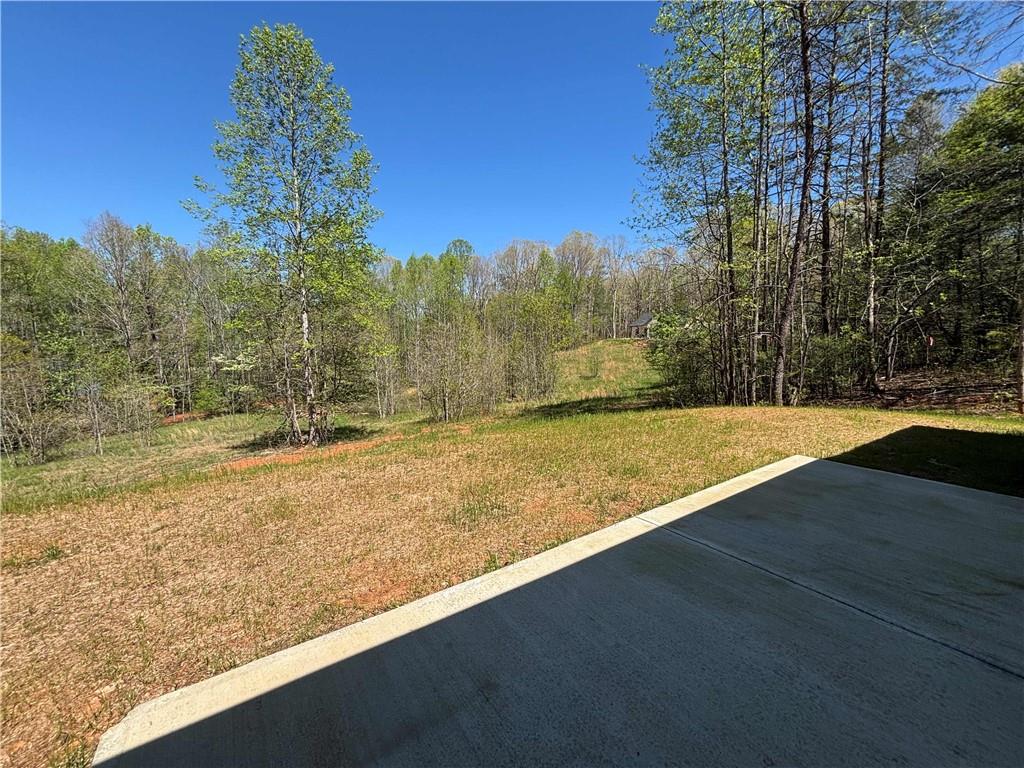 100 Camp Wahsega Road Dahlonega, GA 30533 - Photo 16 of 17