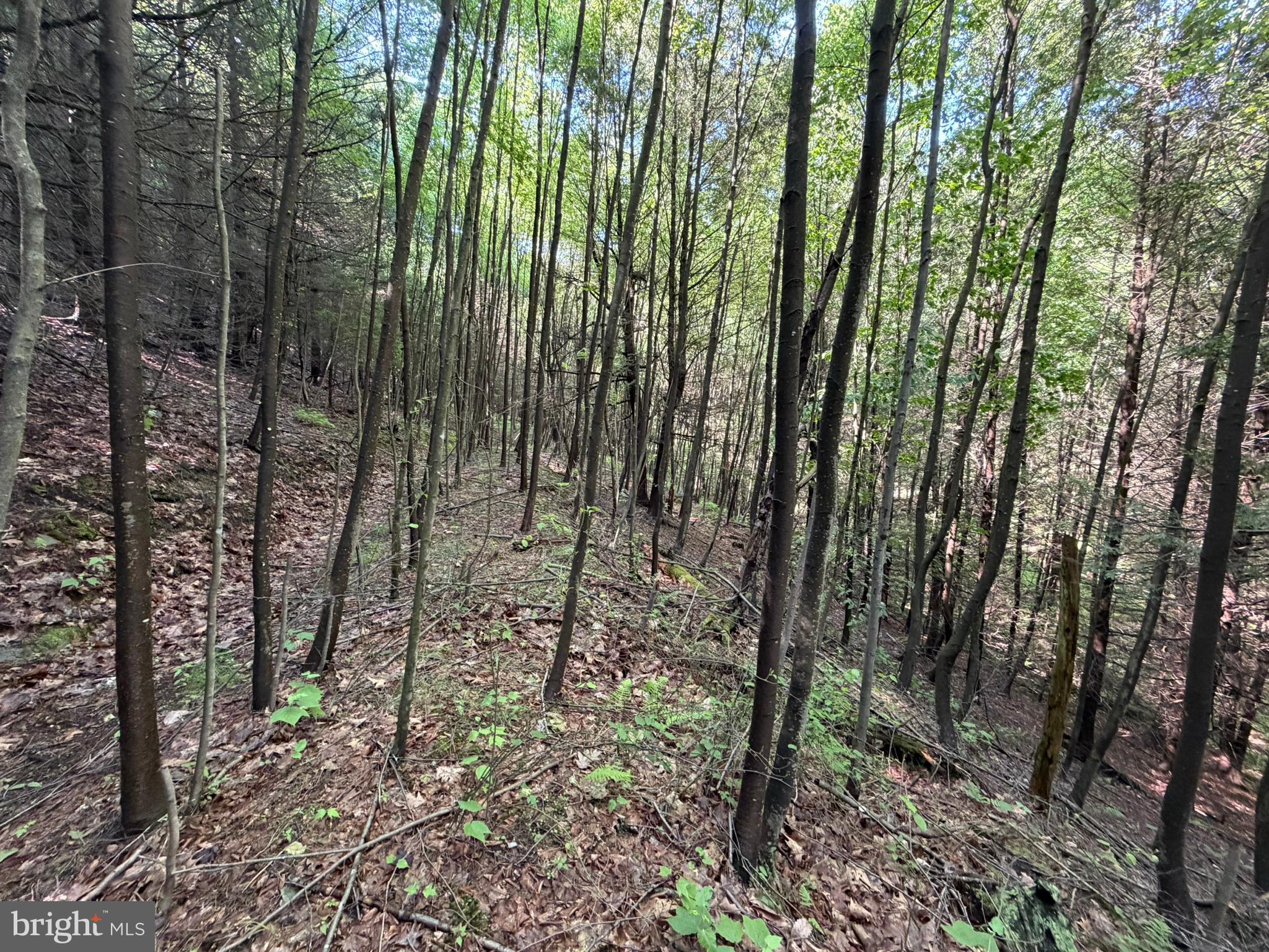 848 Sugar Camp Road Clearfield, PA 16830 - Photo 97 of 118