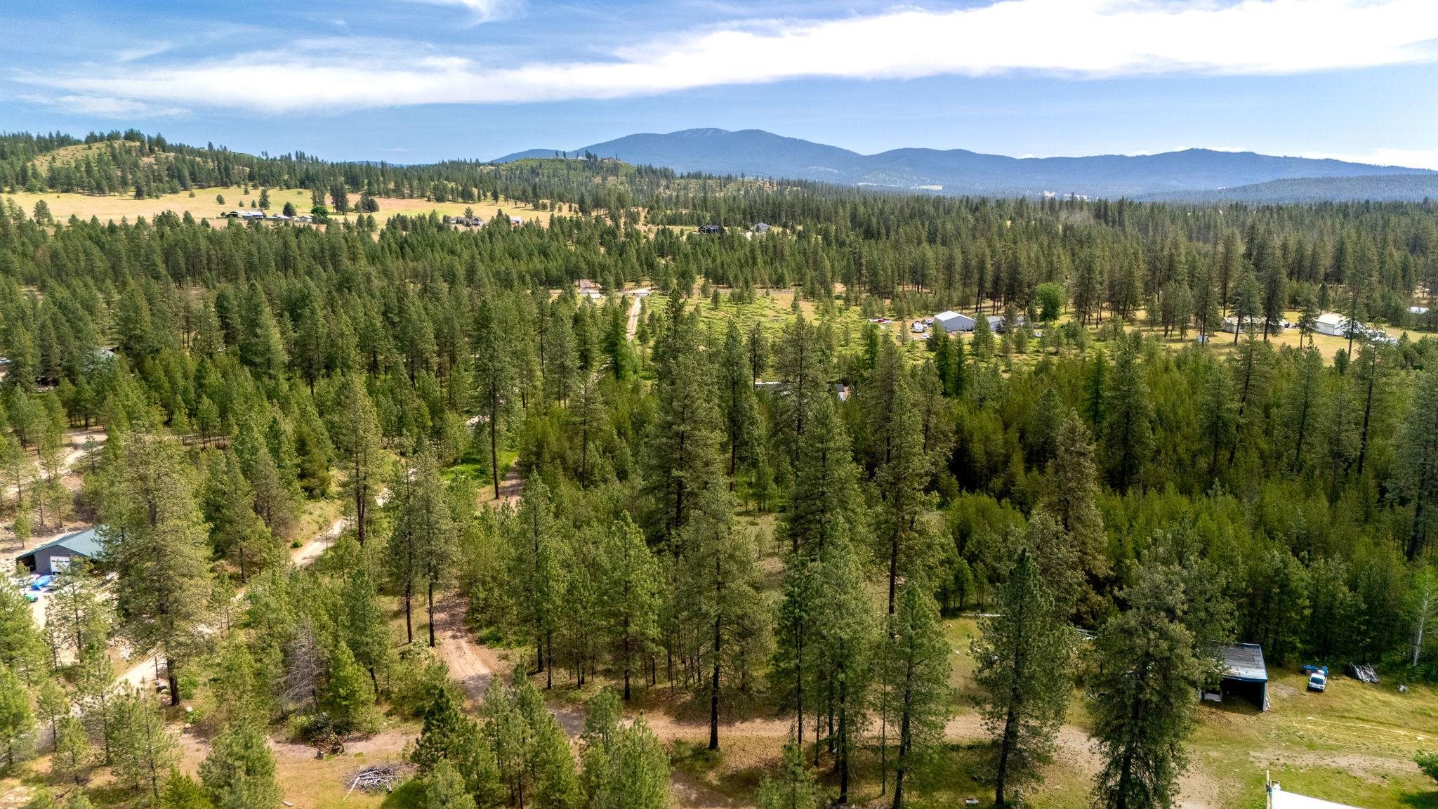 28995 North Hardesty Road Chattaroy, WA 99003 - Photo 45 of 46