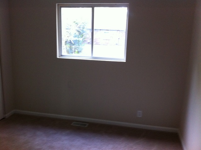 209 Thornhurst Road Bolingbrook, IL 60440 - Photo 21 of 21