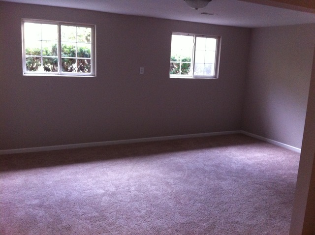 209 Thornhurst Road Bolingbrook, IL 60440 - Photo 10 of 21