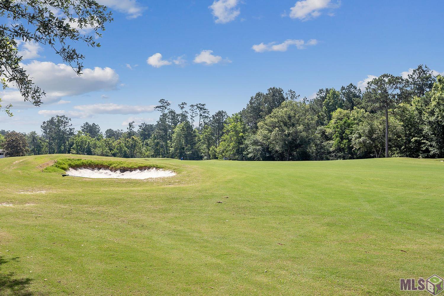 23338 Fairway Gardens Springfield, LA 70462 - Photo 22 of 36