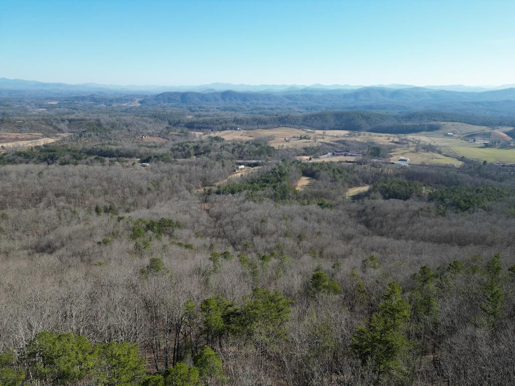 20.05-ac Treehouse Trail Murphy, NC 28906 - Photo 1 of 14 Main View