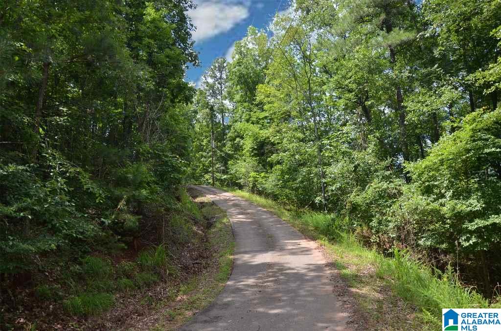 285 Rabbittown Road Piedmont, AL 36272 - Photo 5 of 44
