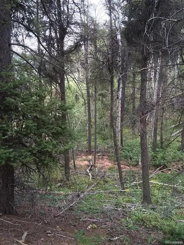 a view of a yard with plants and trees