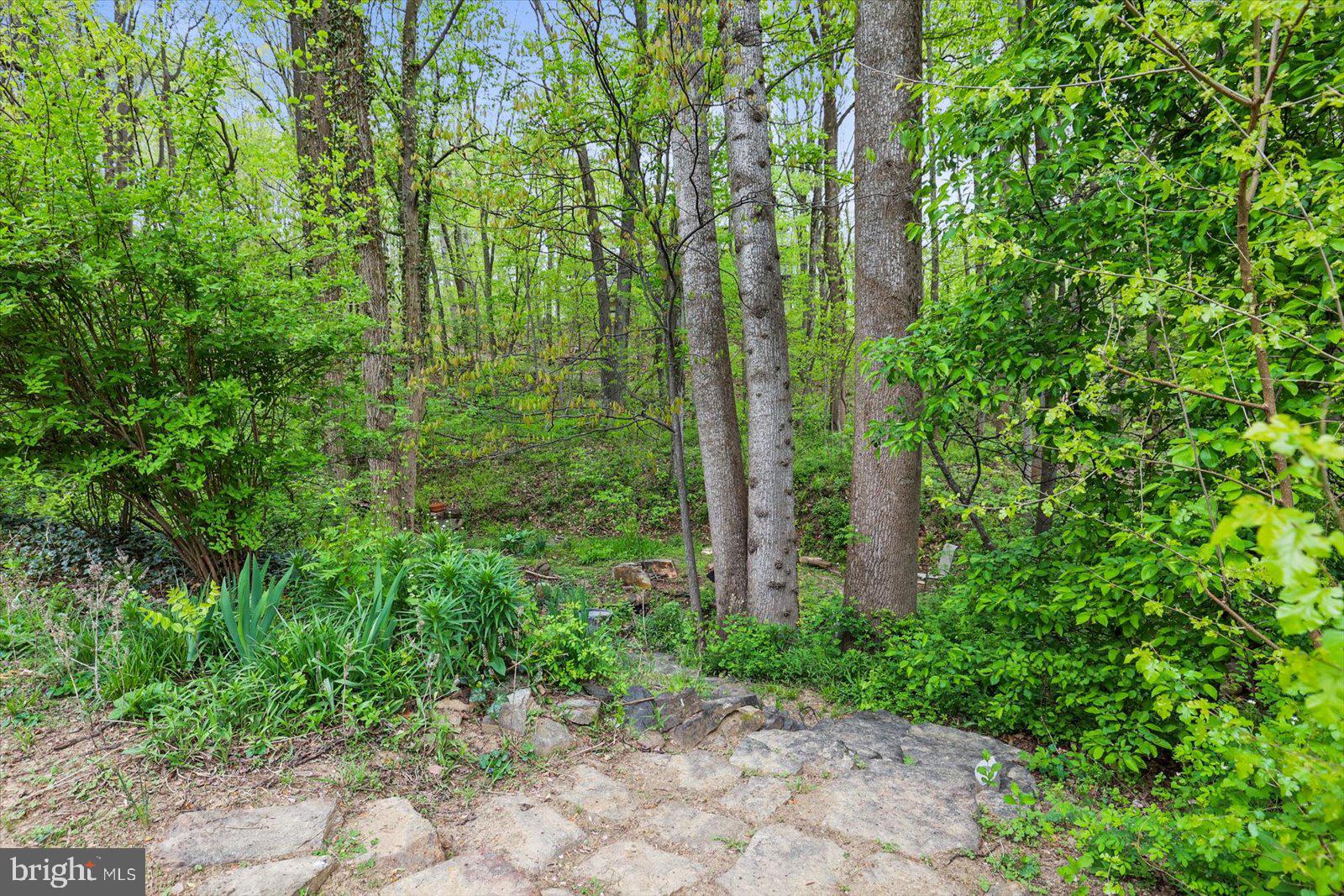 1426 Ridge Road Whiteford, MD 21160 - Photo 54 of 57 Gallery Image 54
