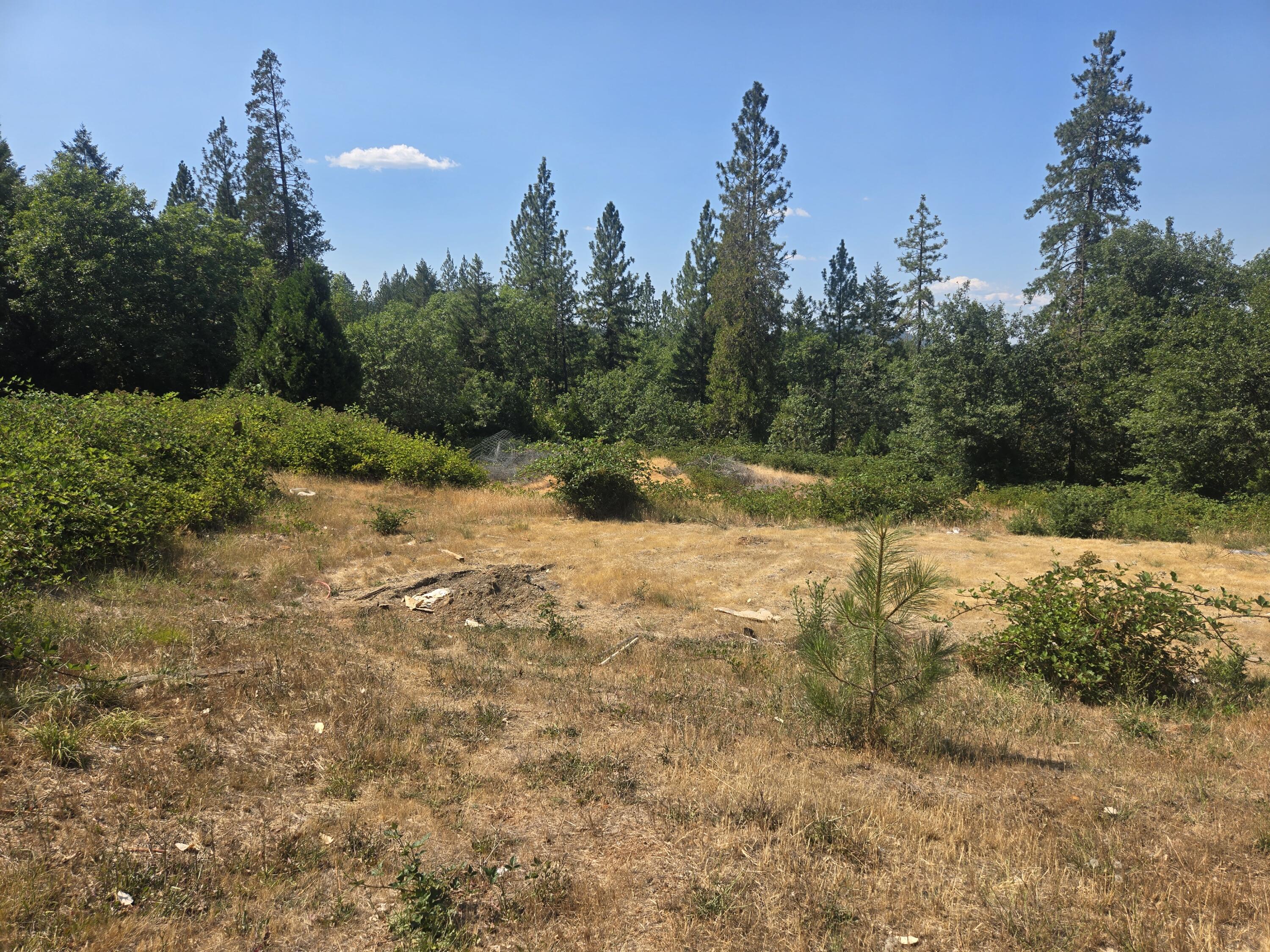 1940 South Side Road Grants Pass, OR 97527 - Photo 13 of 20 13
