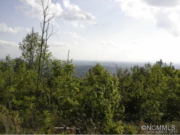 89 Big Rock Road Bostic, NC 28018 - Photo 5 of 13