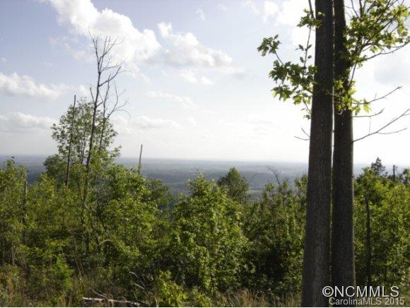 89 Big Rock Road Bostic, NC 28018 - Photo 8 of 13
