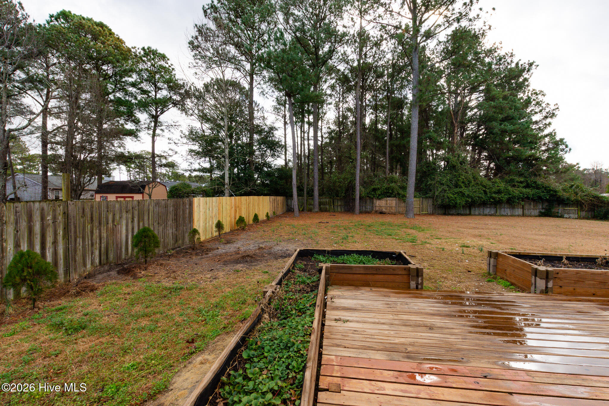 625 Queens Creek Road Hubert, NC 28539 - Photo 40 of 42 625 Queens Creek Rd-40