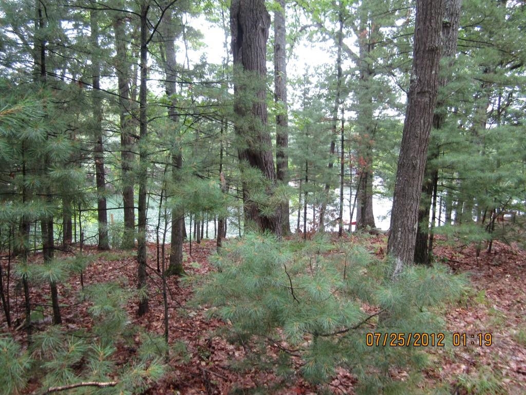 0 Weber Road Traverse City, MI 49686 - Photo 1 of 5