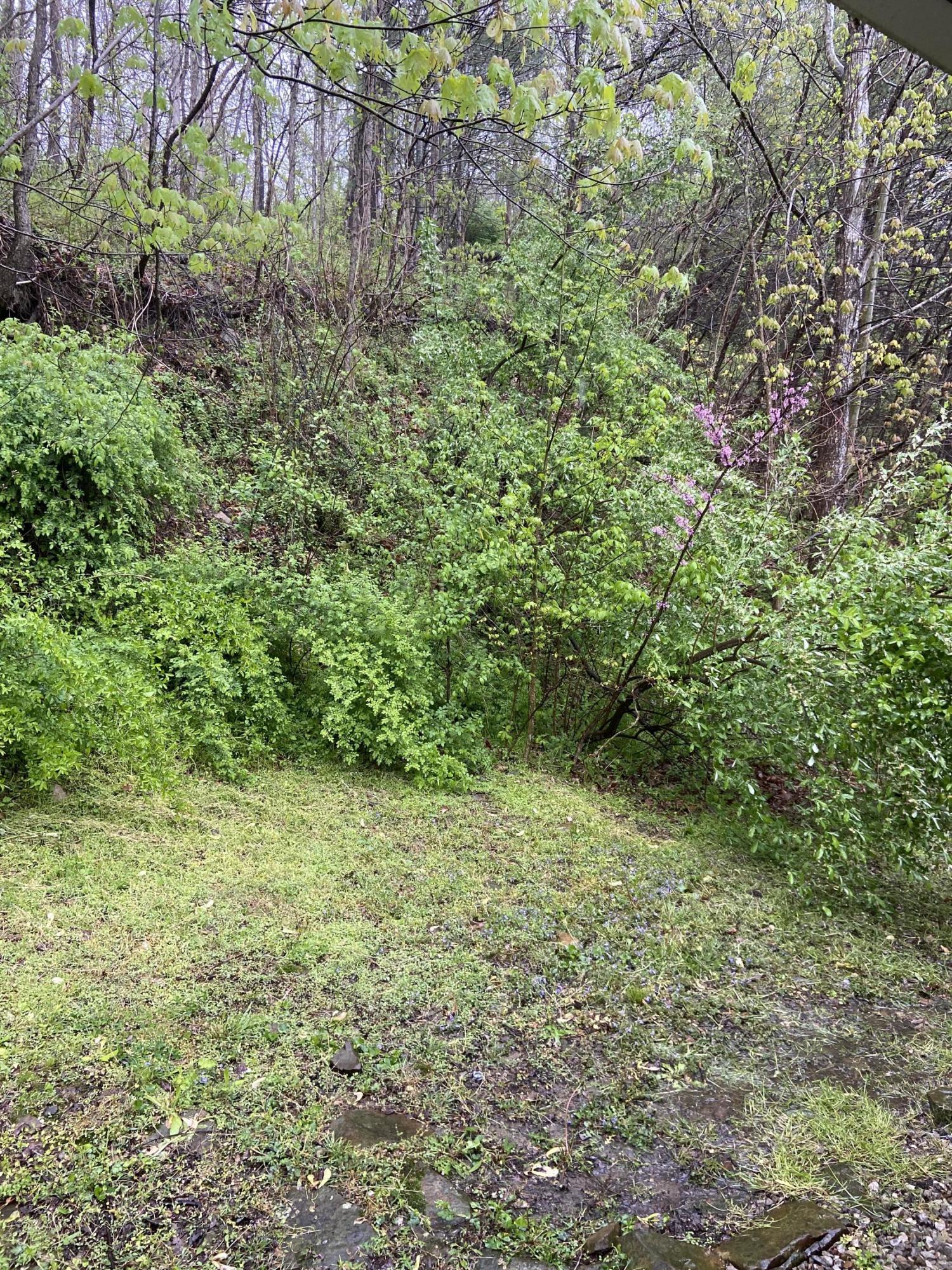 310 Freestone Road Morehead, KY 40351 - Photo 11 of 28 45953D00-4A8C-4980-8200-4D9597B0547D