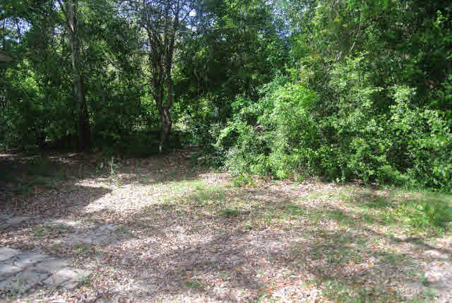 9275 Pinewood Avenue Elberta, AL 36530 - Photo 3 of 14