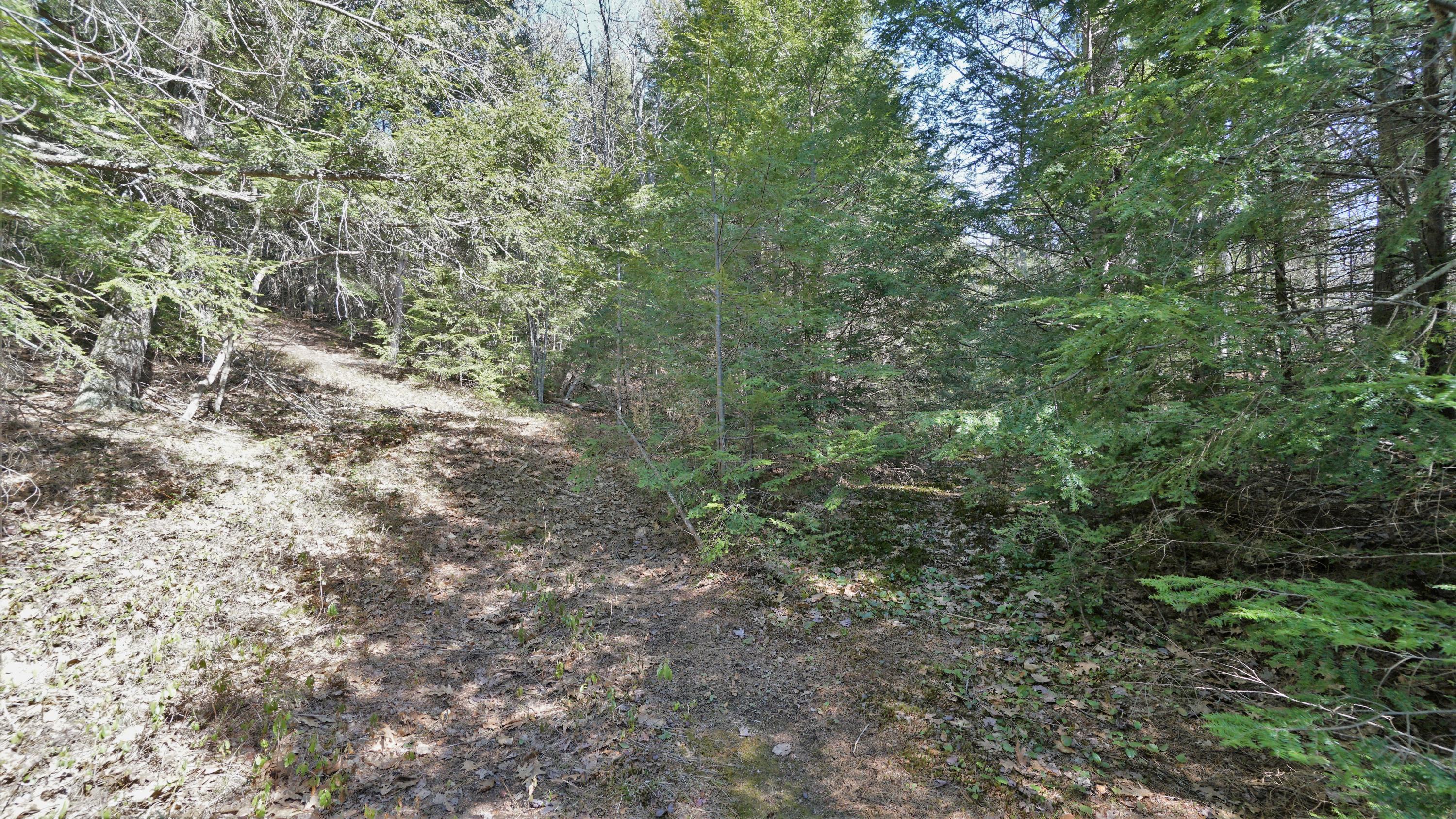 19 Edgecomb Road Acton, ME 04001 - Photo 8 of 21 DSC02803