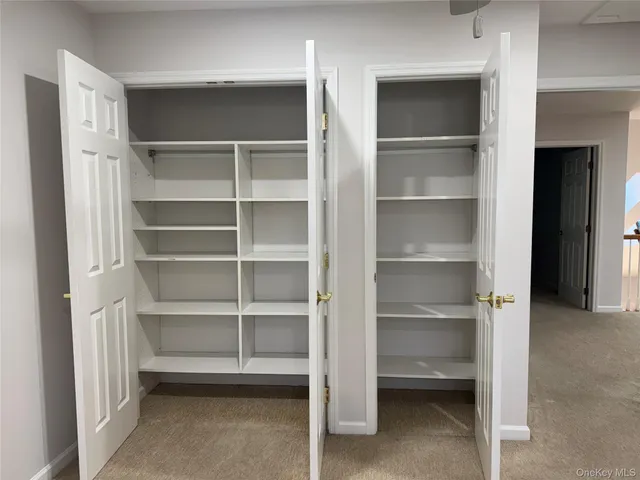 a view of walk in closet with empty racks