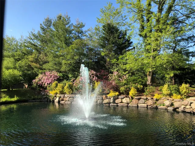a view of a garden with a tree