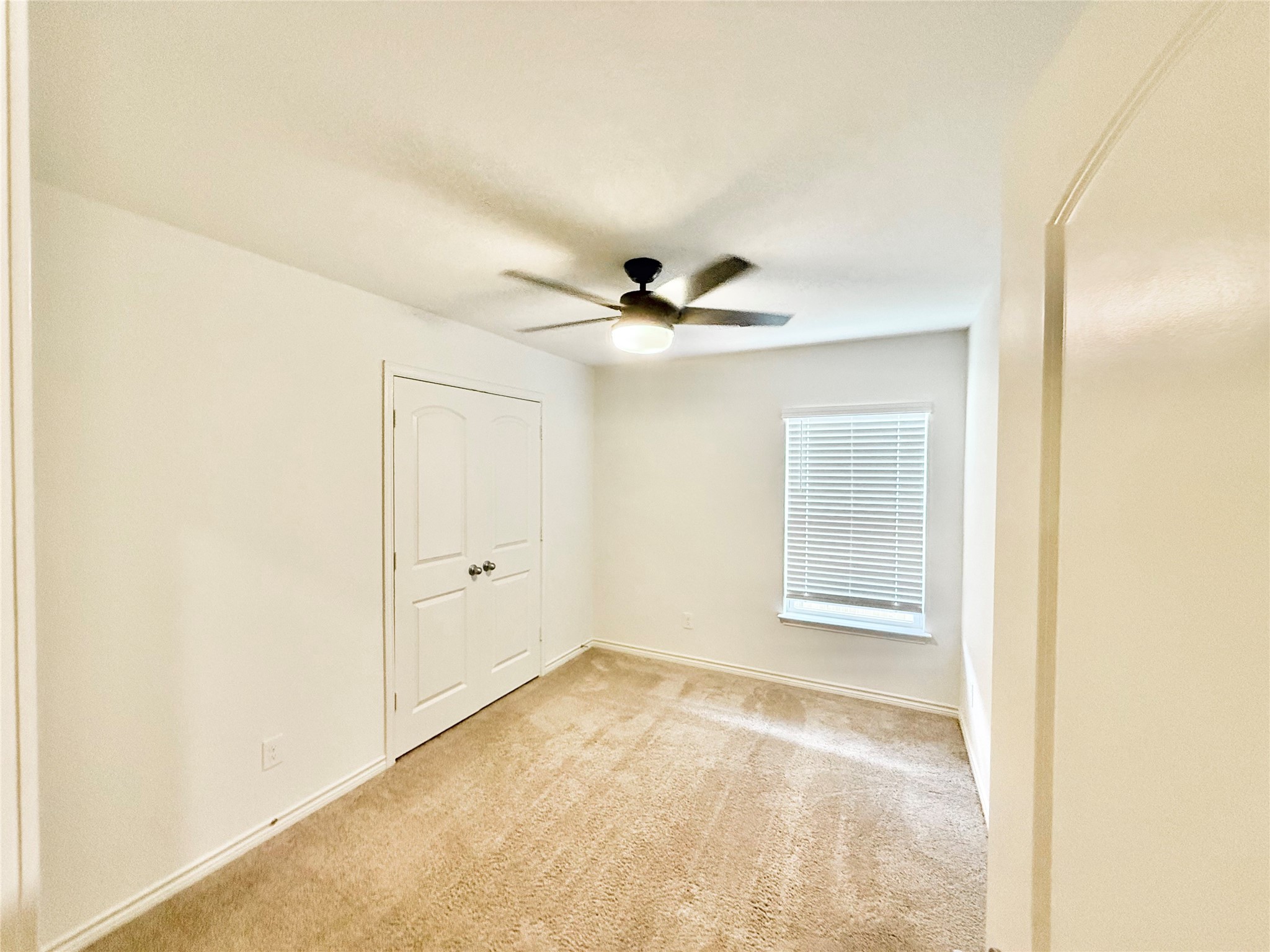 521 Locksley Cove Jarrell, TX 76537 - Photo 6 of 17