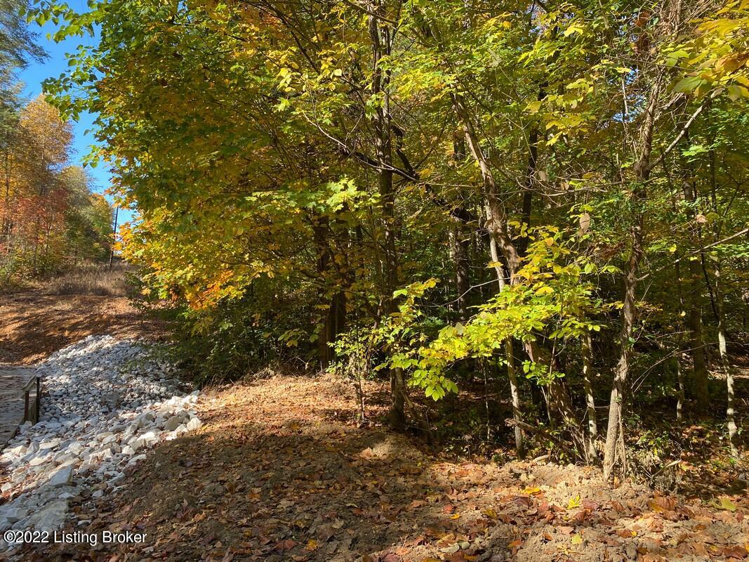 L3 Ted Logsdon Road Clarkson, KY 42726 - Photo 22 of 24 River View 101322220