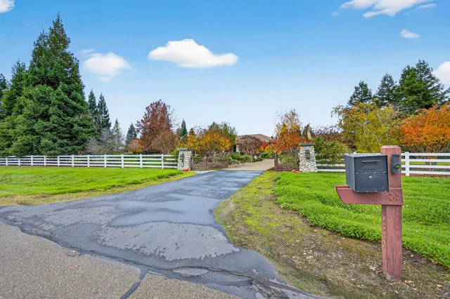 a view of a lake with a tree