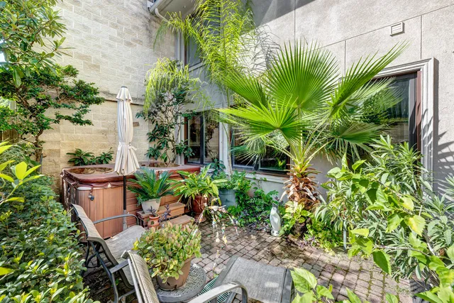 a plant that is in a garden