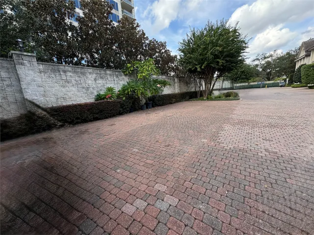 a view of a park with a large trees