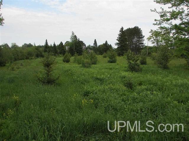 23288 Highway Location Road Calumet, MI 49913 - Photo 3 of 16