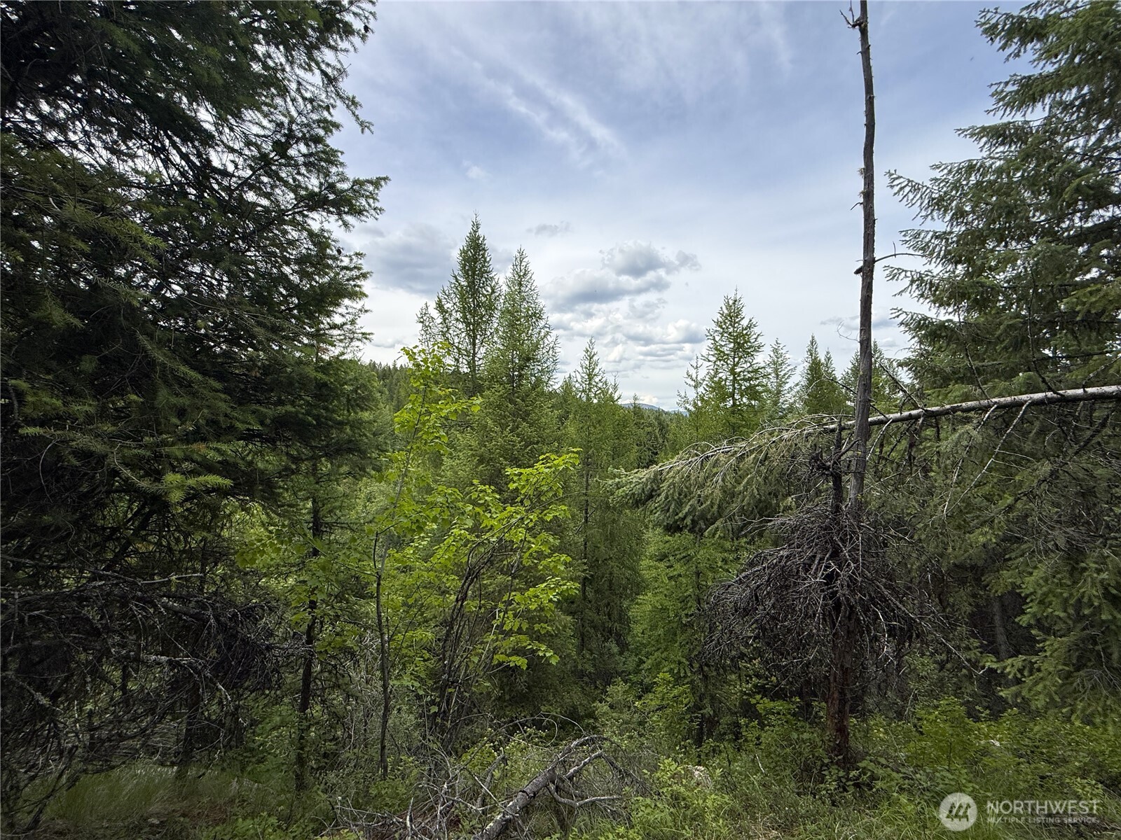 -tbd Mule Deer Road Republic, WA 99166 - Photo 11 of 11