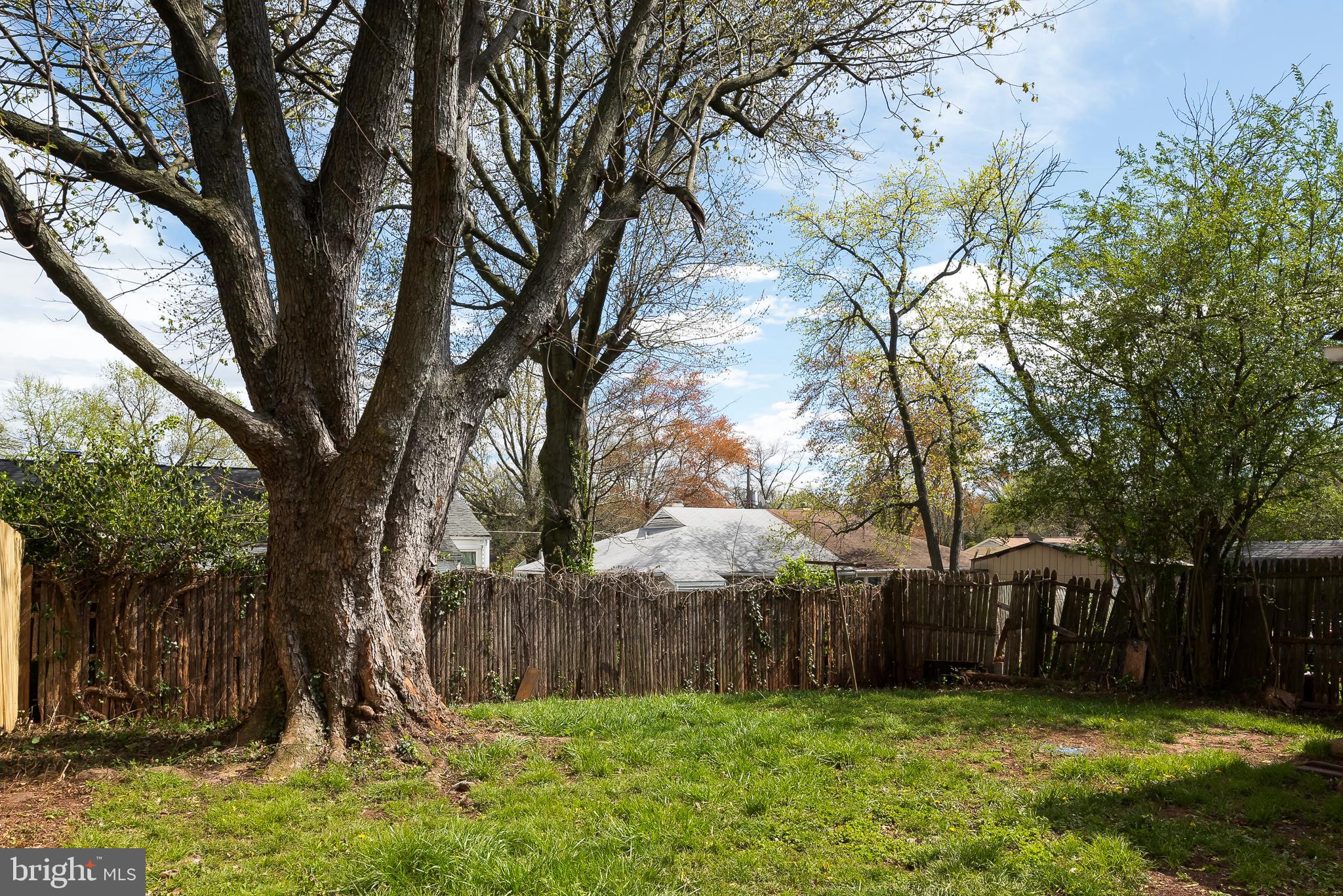 7621 Normandy Road Landover, MD 20785 - Photo 20 of 22 Back Yard