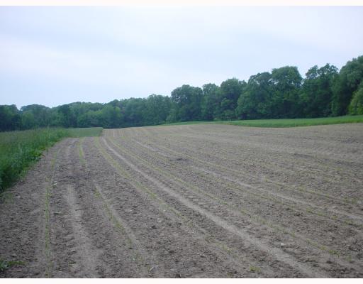Fullerton Road Enon Valley, PA 16120 - Photo 2 of 2 Land/Lot.