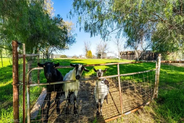 $1,974,000 | 76945 Indian Valley Road, San Miguel, CA 93451