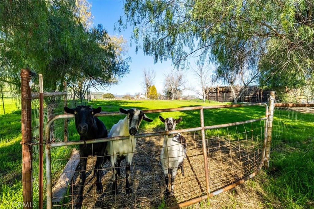 76945 Indian Valley Road San Miguel, CA 93451 - Photo 64 of 75