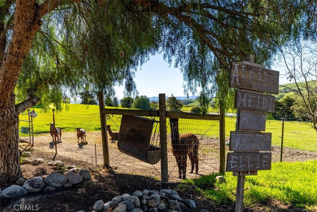 76945 Indian Valley Road San Miguel, CA 93451 - Photo 64 of 72