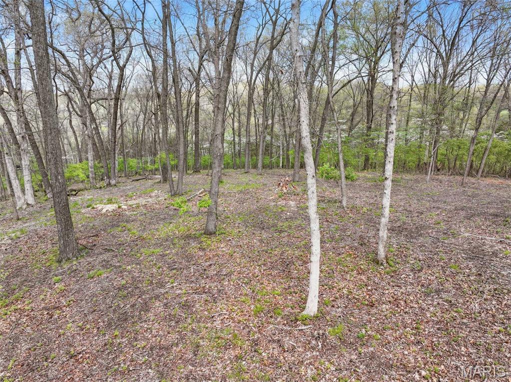 16404 Clayton Road Wildwood, MO 63011 - Photo 8 of 15