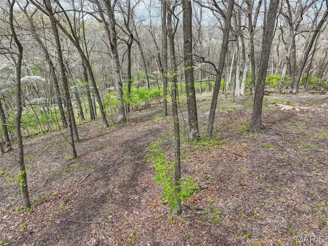 $1,400,000 | 16404 Clayton Road, Wildwood, MO 63011