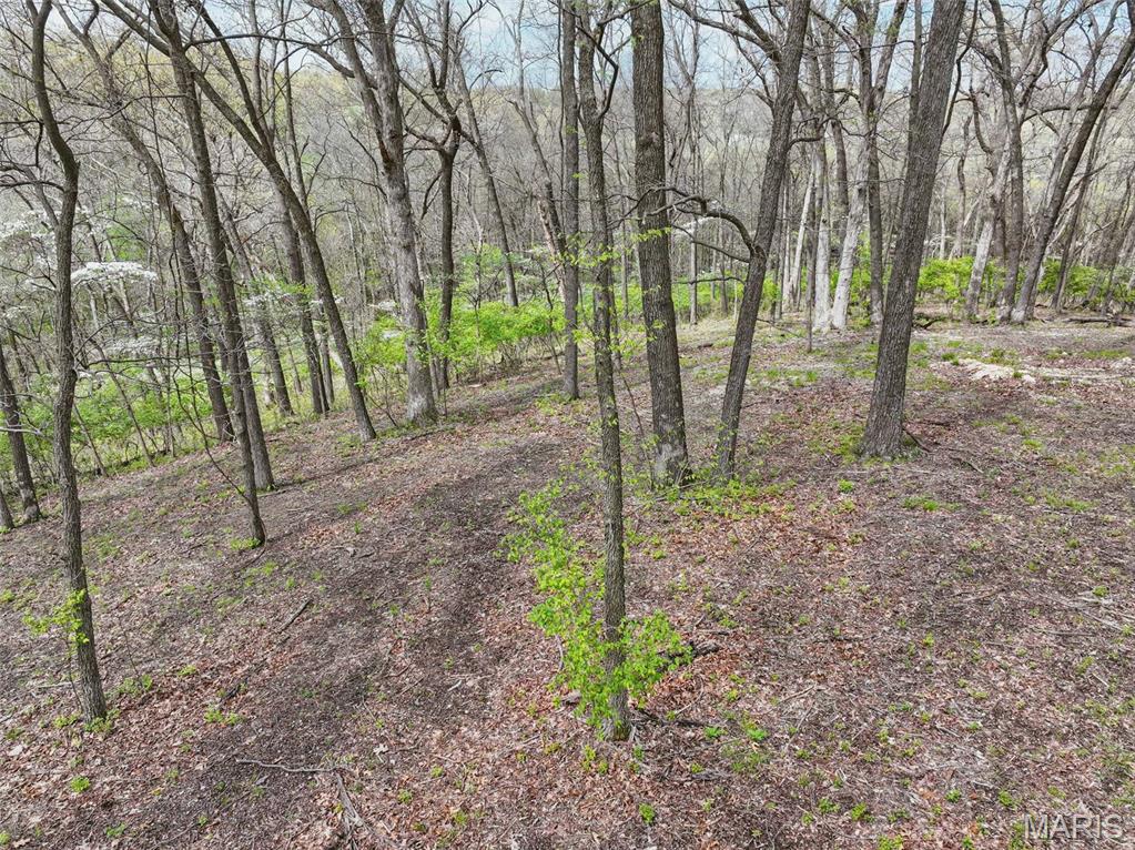 16404 Clayton Road Wildwood, MO 63011 - Photo 9 of 15