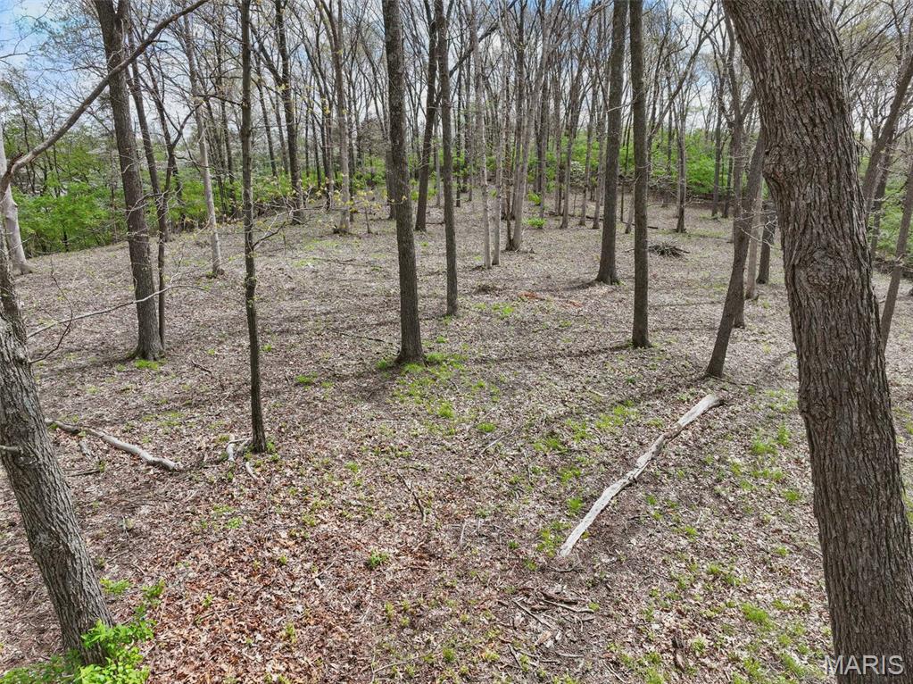 16404 Clayton Road Wildwood, MO 63011 - Photo 10 of 15