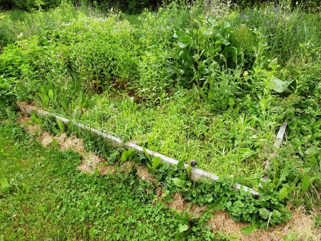 62 Hardscrabble Road Monkton, VT 05443 - Photo 26 of 31 Gallery Image 26