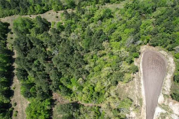 a view of a yard in a backyard