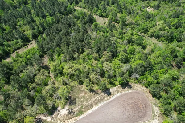 view of a forest with a street