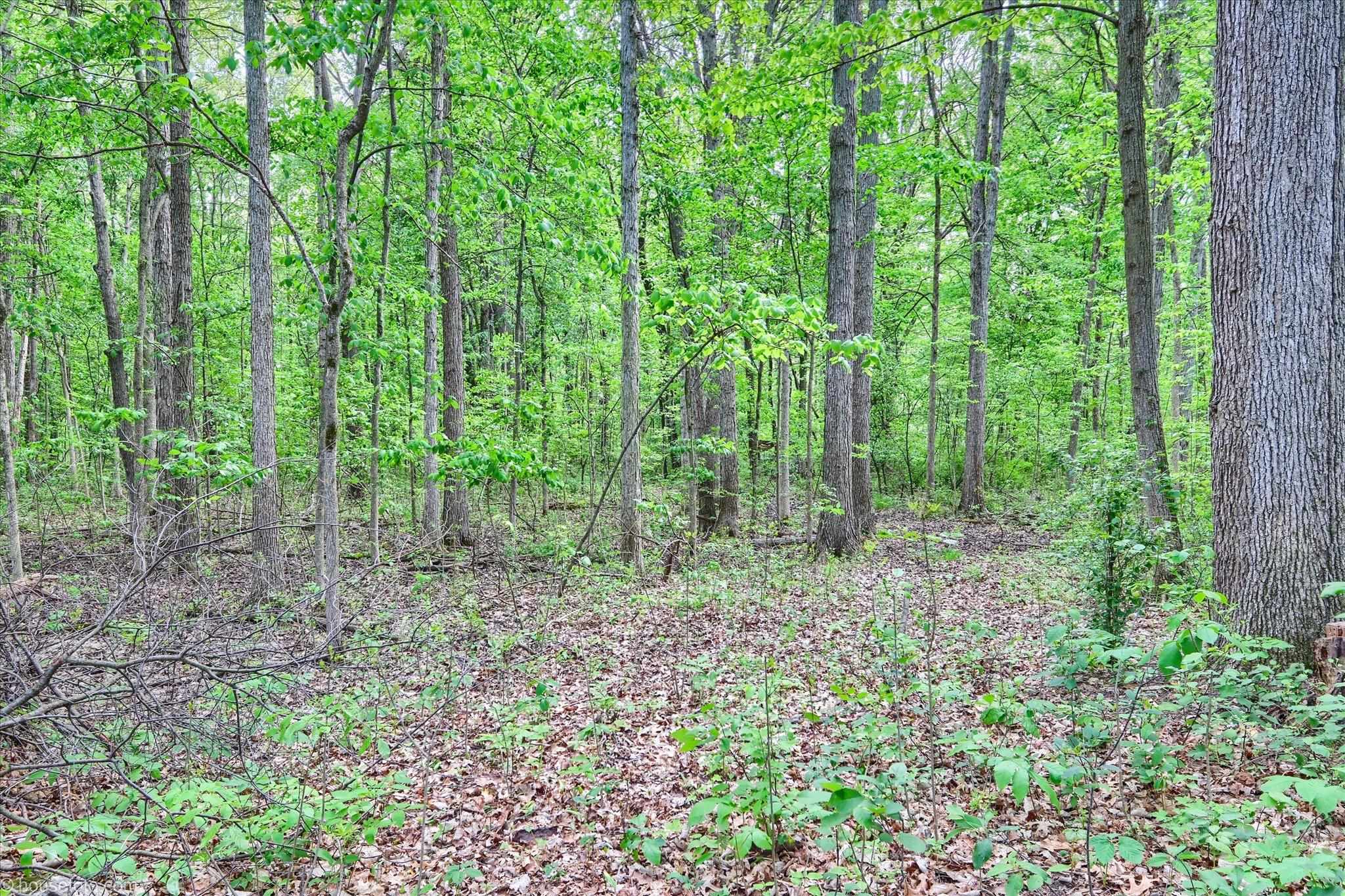2231 West Dodge Road Clio, MI 48420 - Photo 47 of 61