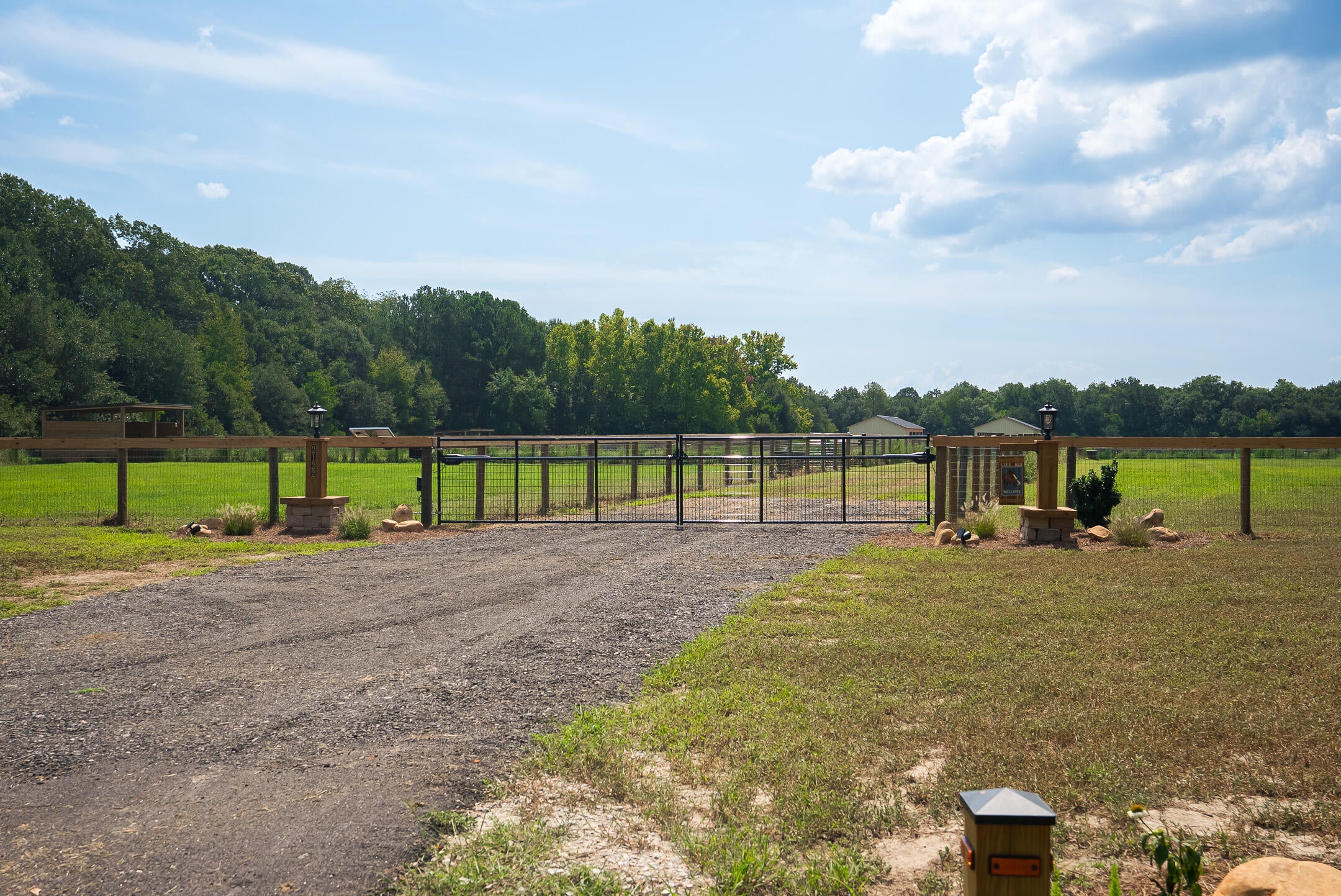 2122 New Holland Road Wagener, SC 29164 - Photo 8 of 48 Gallery Image 8