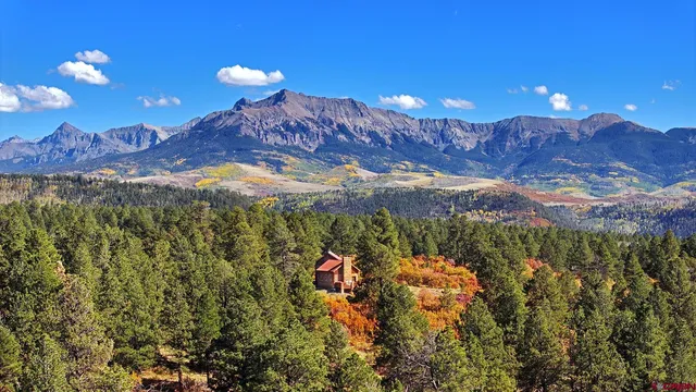 a view of a building with a yard and a large tree