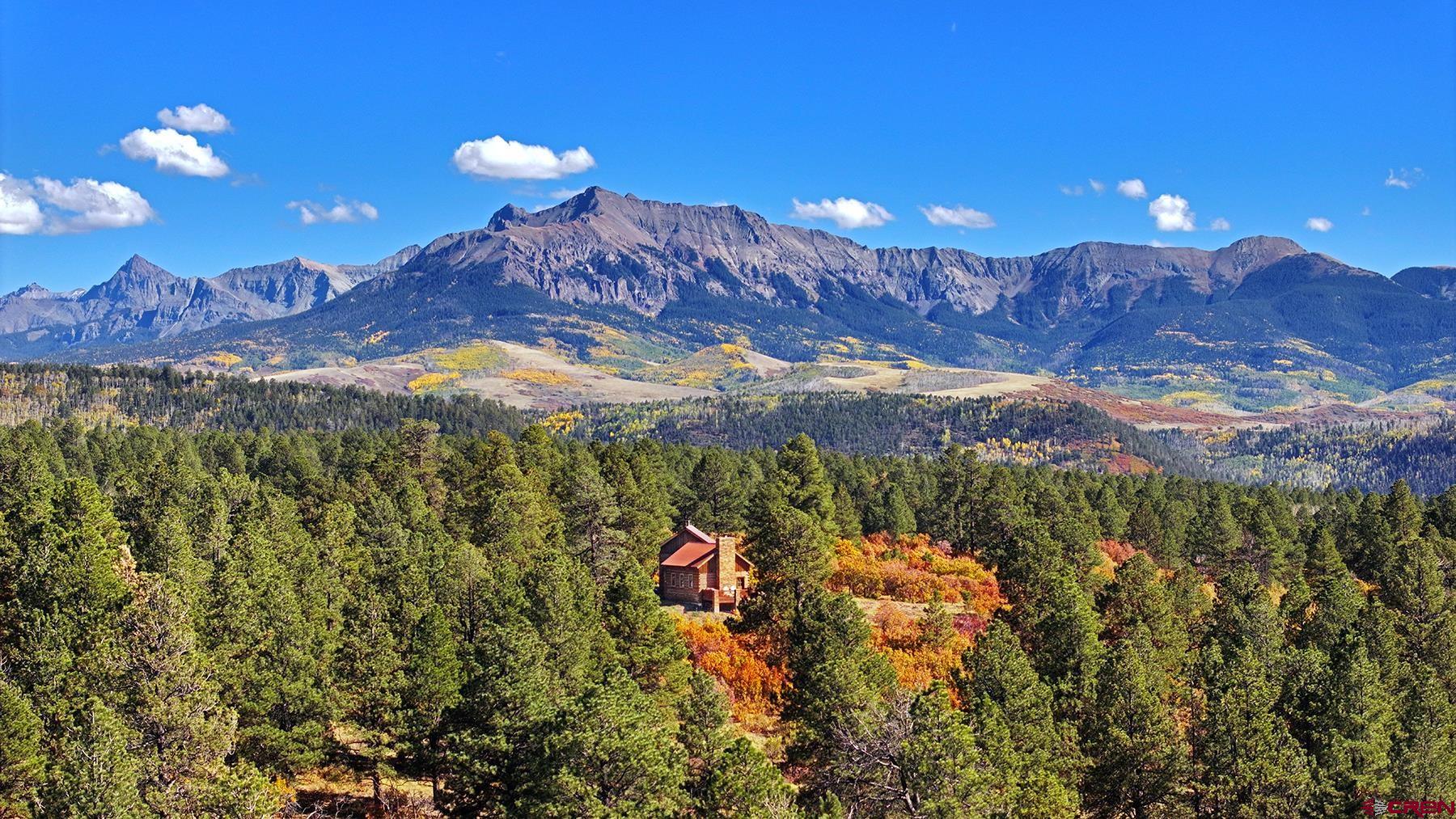 a view of a building with a yard and a large tree