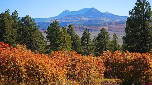 a view of a lot of mountains and valleys