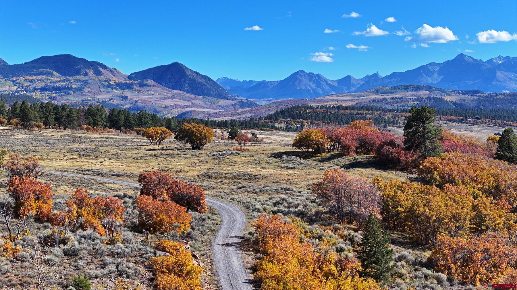 1250 McKenzie Springs Road Placerville, CO 81430 - Photo 14 of 45 a view of a backyard with green space