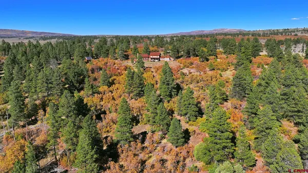 a view of a backyard with a swimming pool