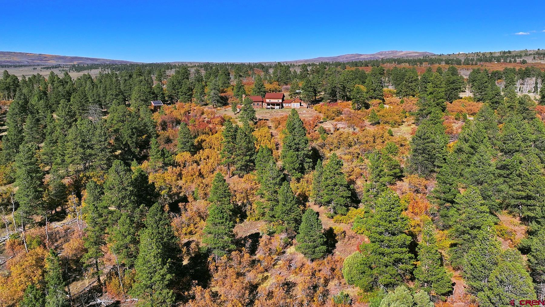 1250 McKenzie Springs Road Placerville, CO 81430 - Photo 19 of 45 a view of a city