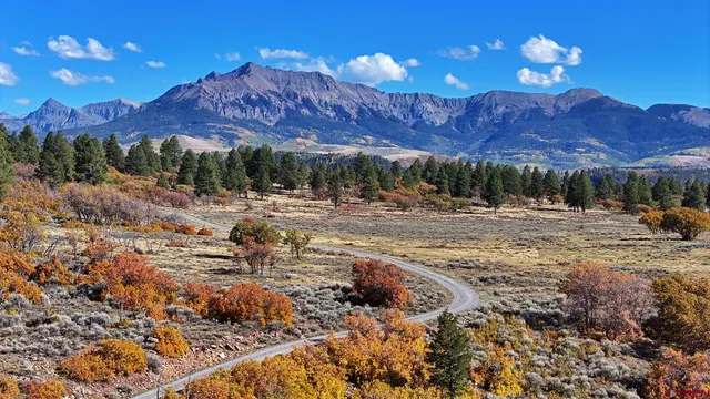a view of a building in a yard
